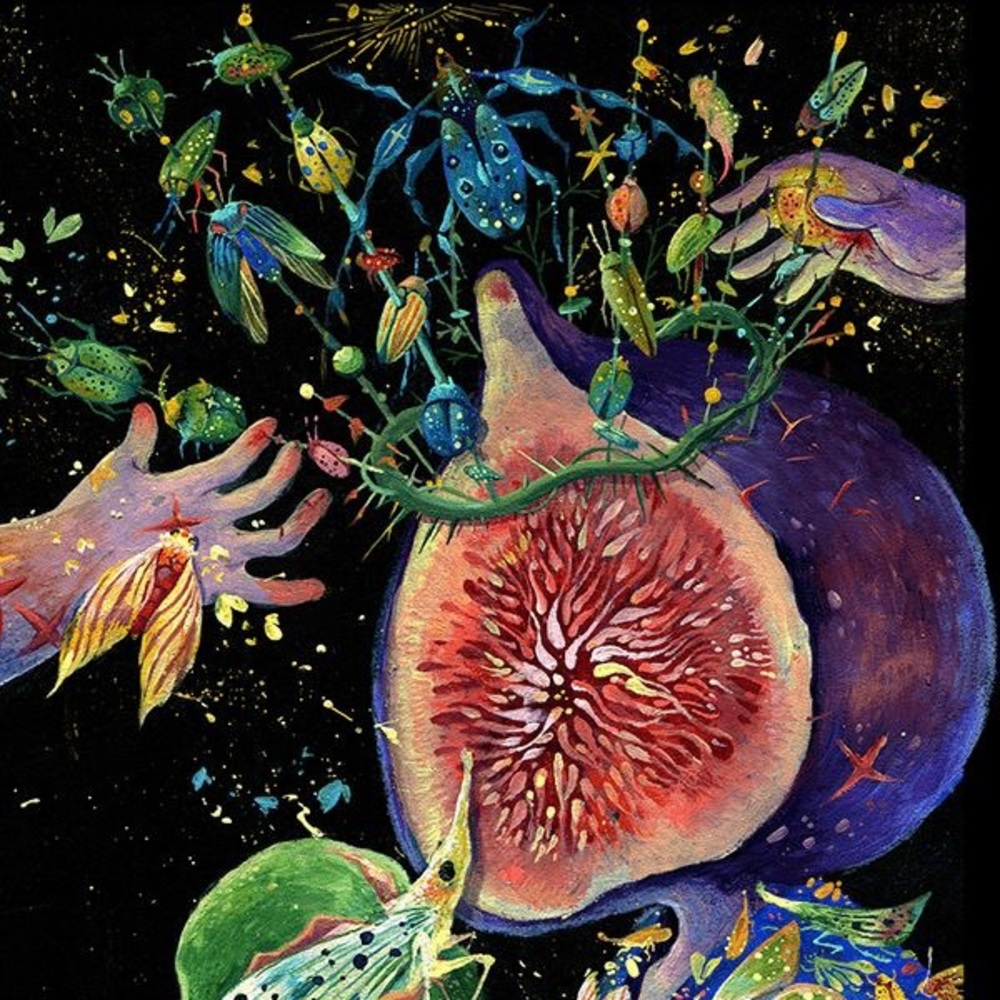 Meet your Posher, Sydnie